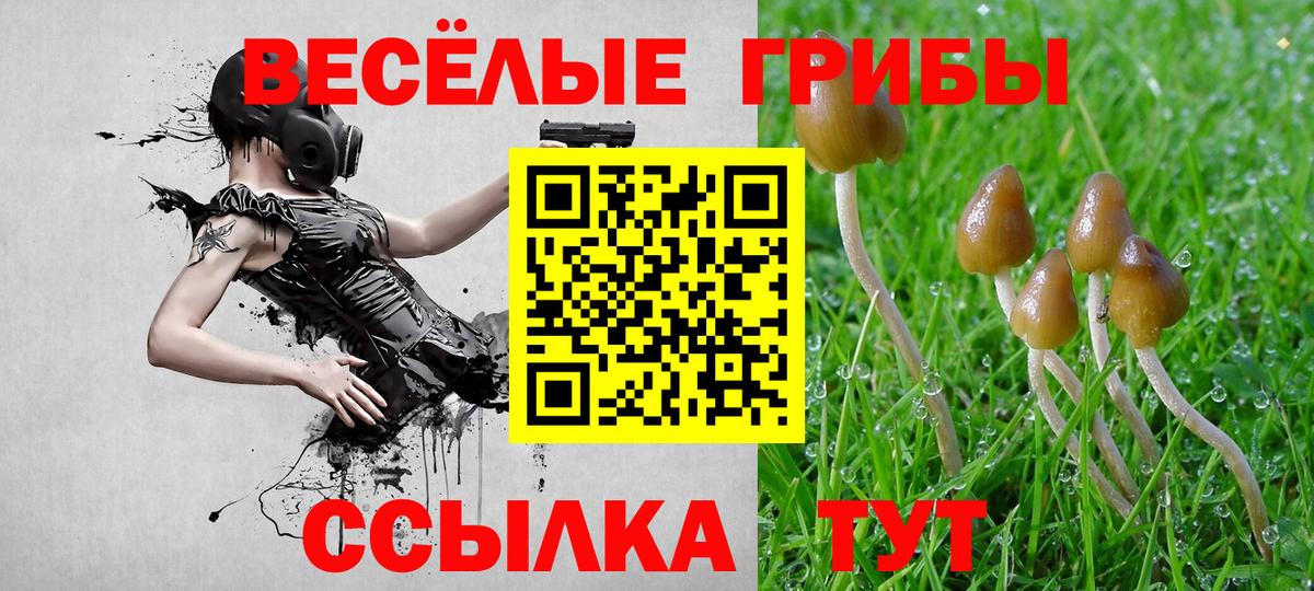 Галлюциногенные грибы мицелий Чайковский