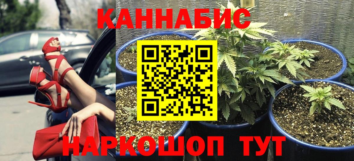Бошки Шишки Amnesia  Каннабис Ganja  Вход с VPN  МАРИХУАНА семена  Чайковский 